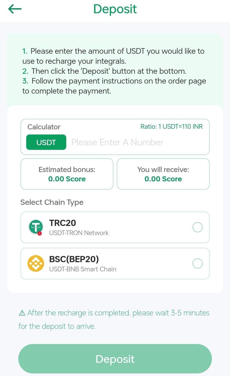 DDPay Wallet and Deposit Section